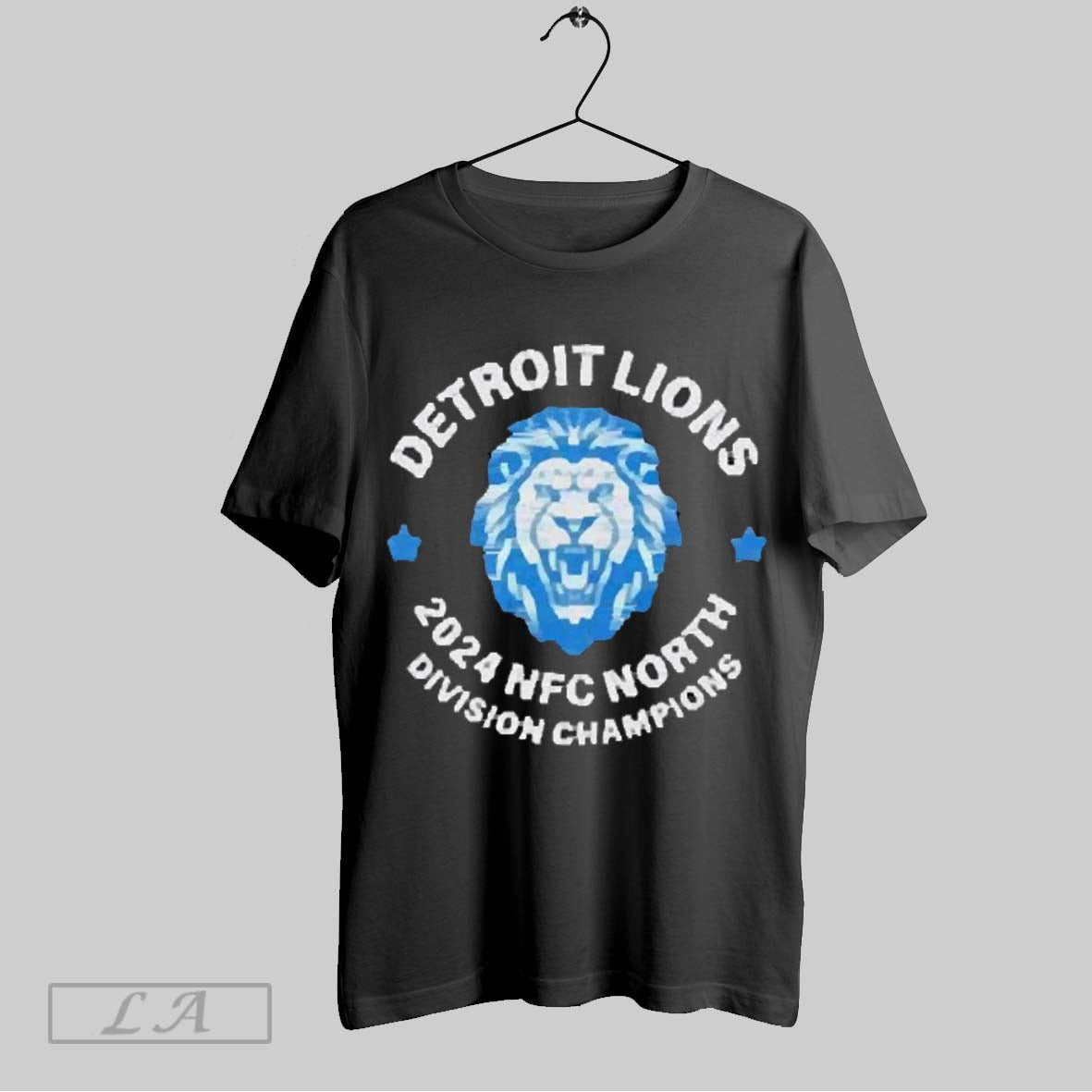 Premium Go Lions Detroit Lions 2024 North Champions T Shirt