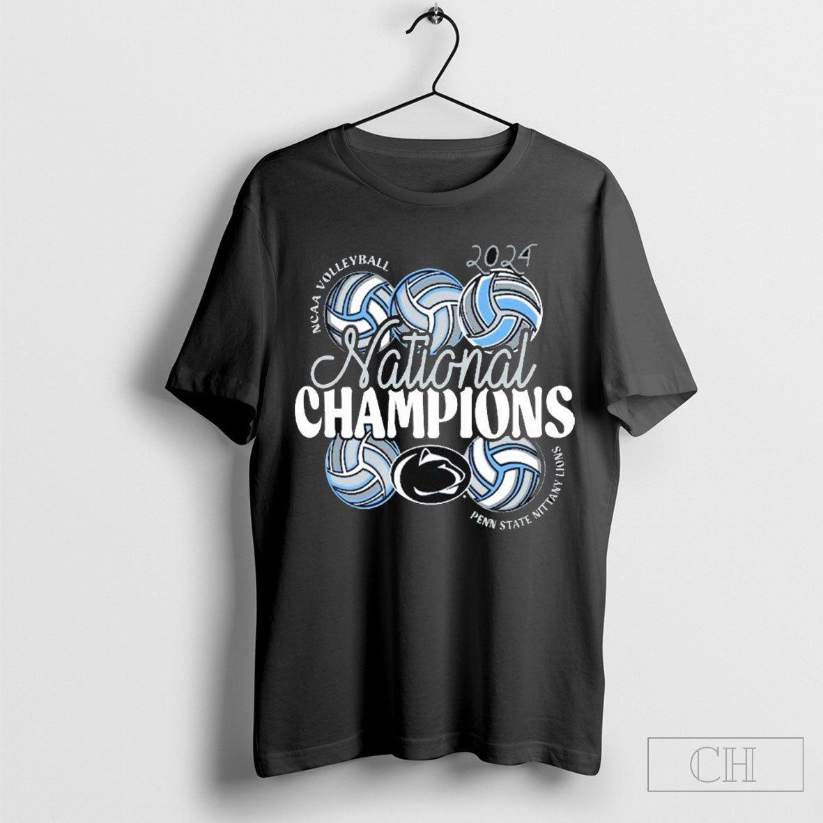 Penn State Nittany Lions 2024 Ncaa Division I Womens Volleyball National Champions Stacked