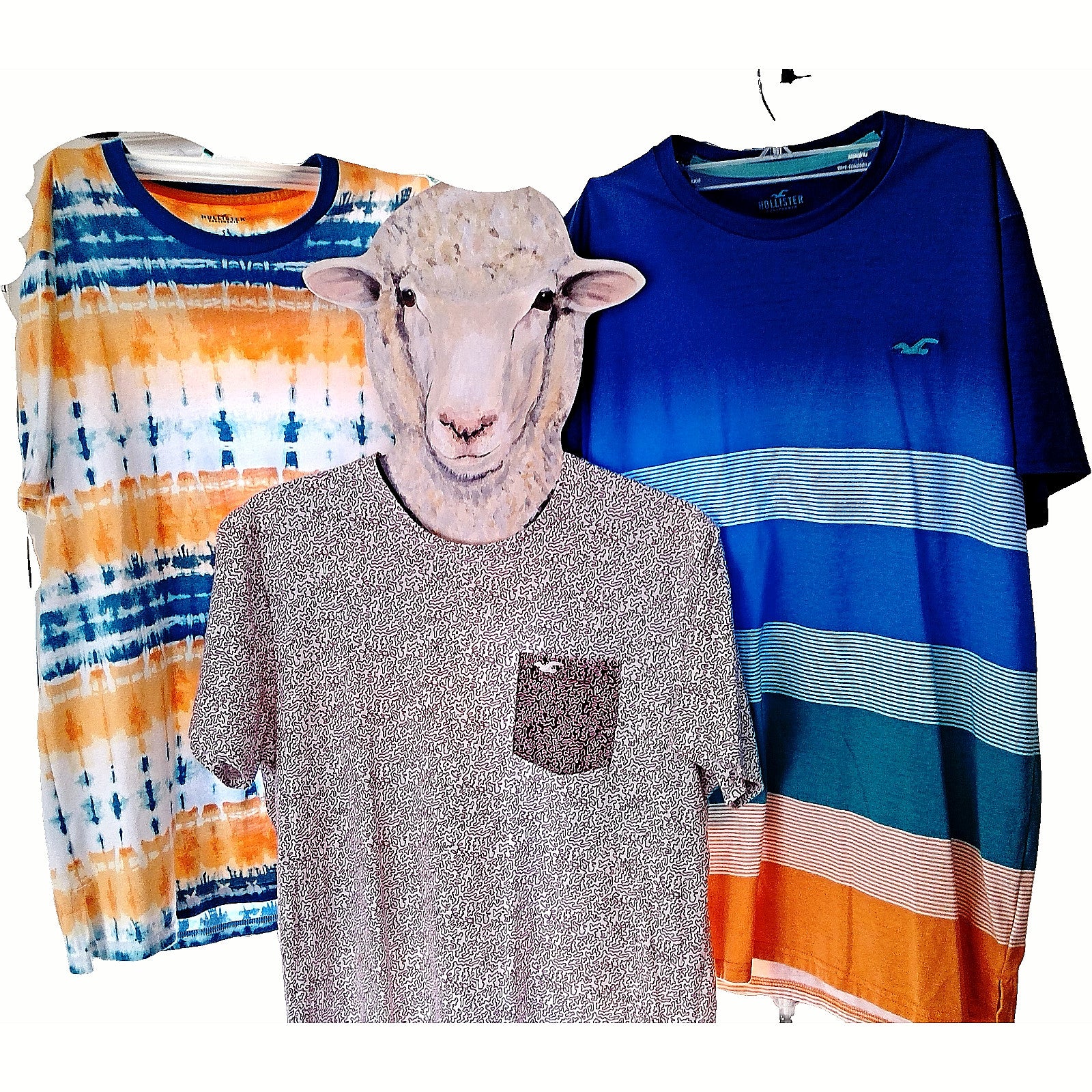 Back to School Shirt Special! Three (3) Hollister Size Small T Shirts