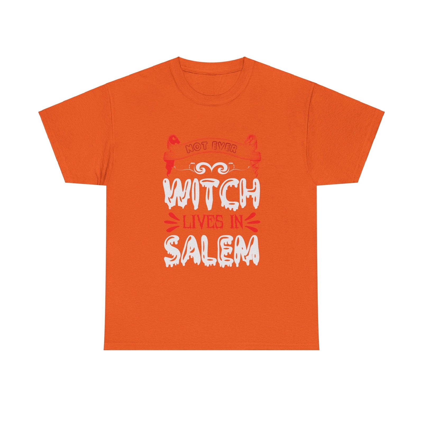 Not Ever Witch Lives In Salem Halloween T shirt Trick or Treat Costume  October