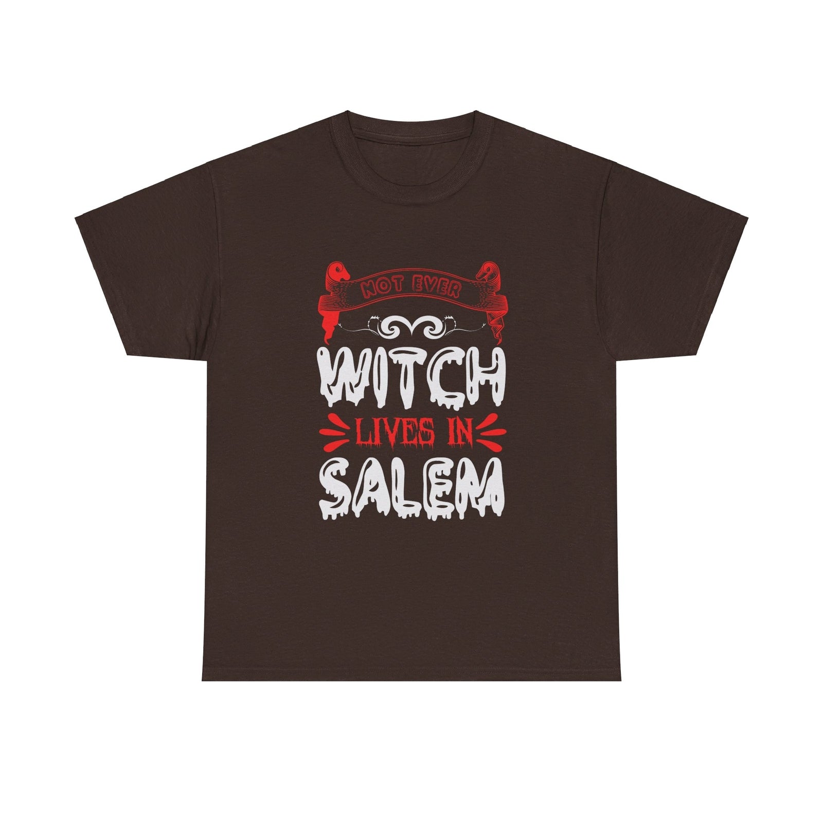 Not Ever Witch Lives In Salem Halloween T shirt Trick or Treat Costume  October