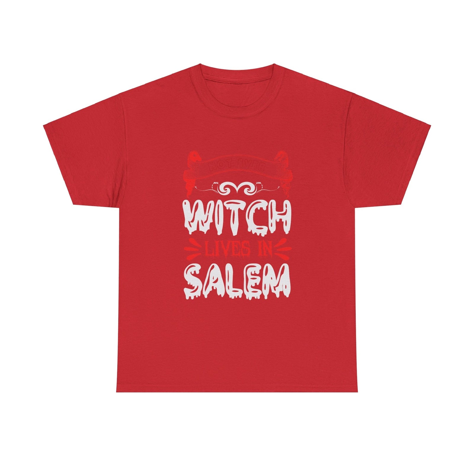 Not Ever Witch Lives In Salem Halloween T shirt Trick or Treat Costume  October